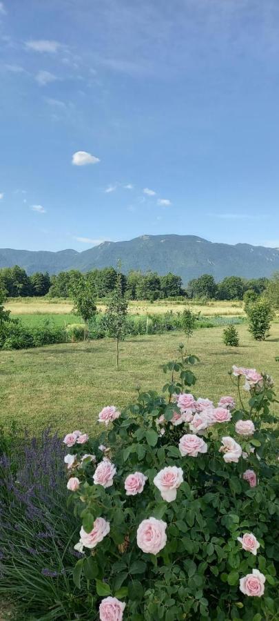 Kuca Za Odmor Boki Villa Gospić Exterior foto